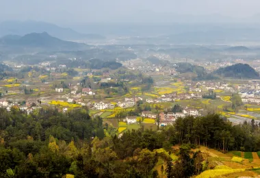 Hanzhong Canola Fields 명소 인기 사진