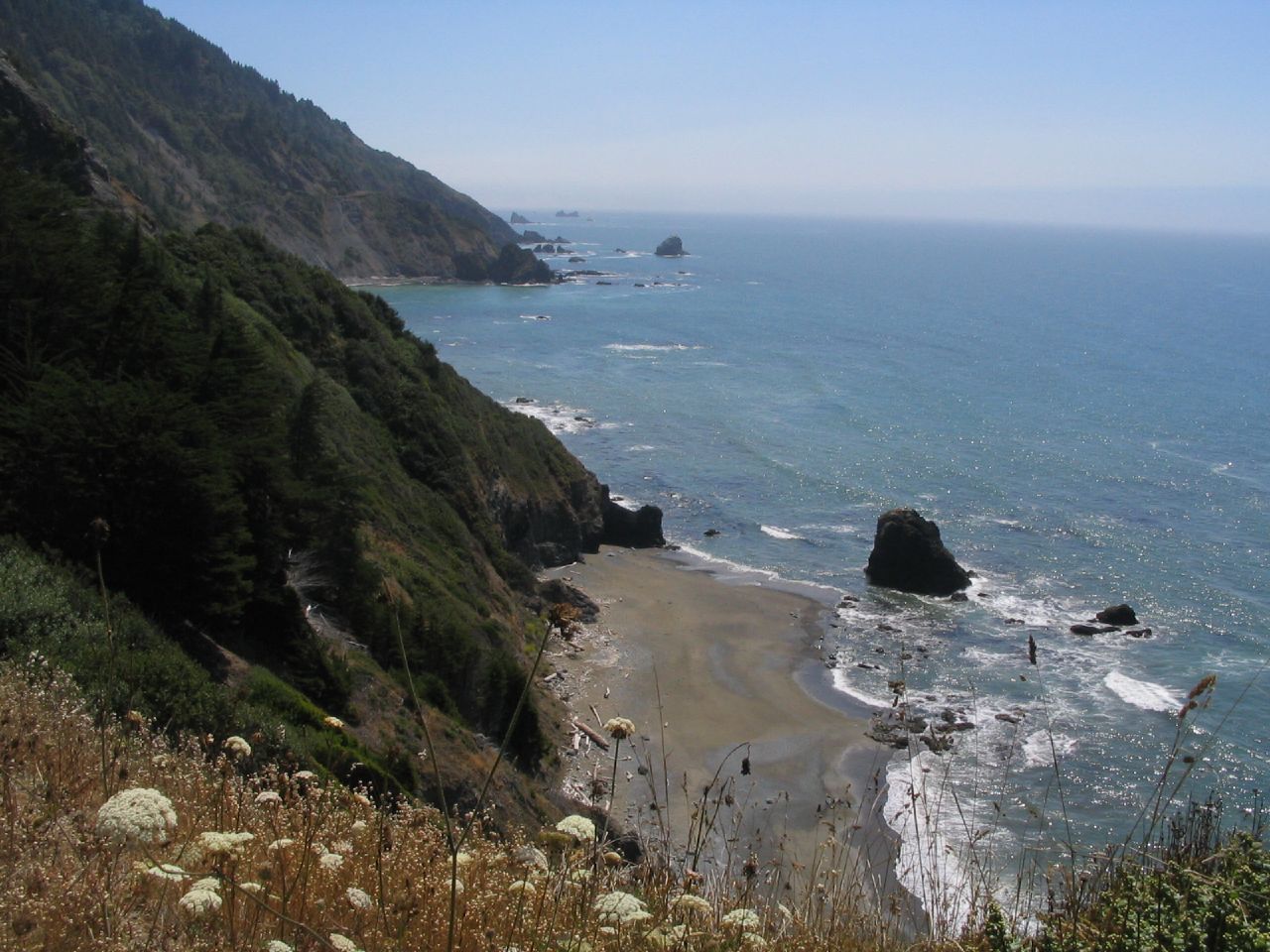 del norte coast redwoods state park