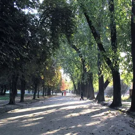 Parque Quinta Normal