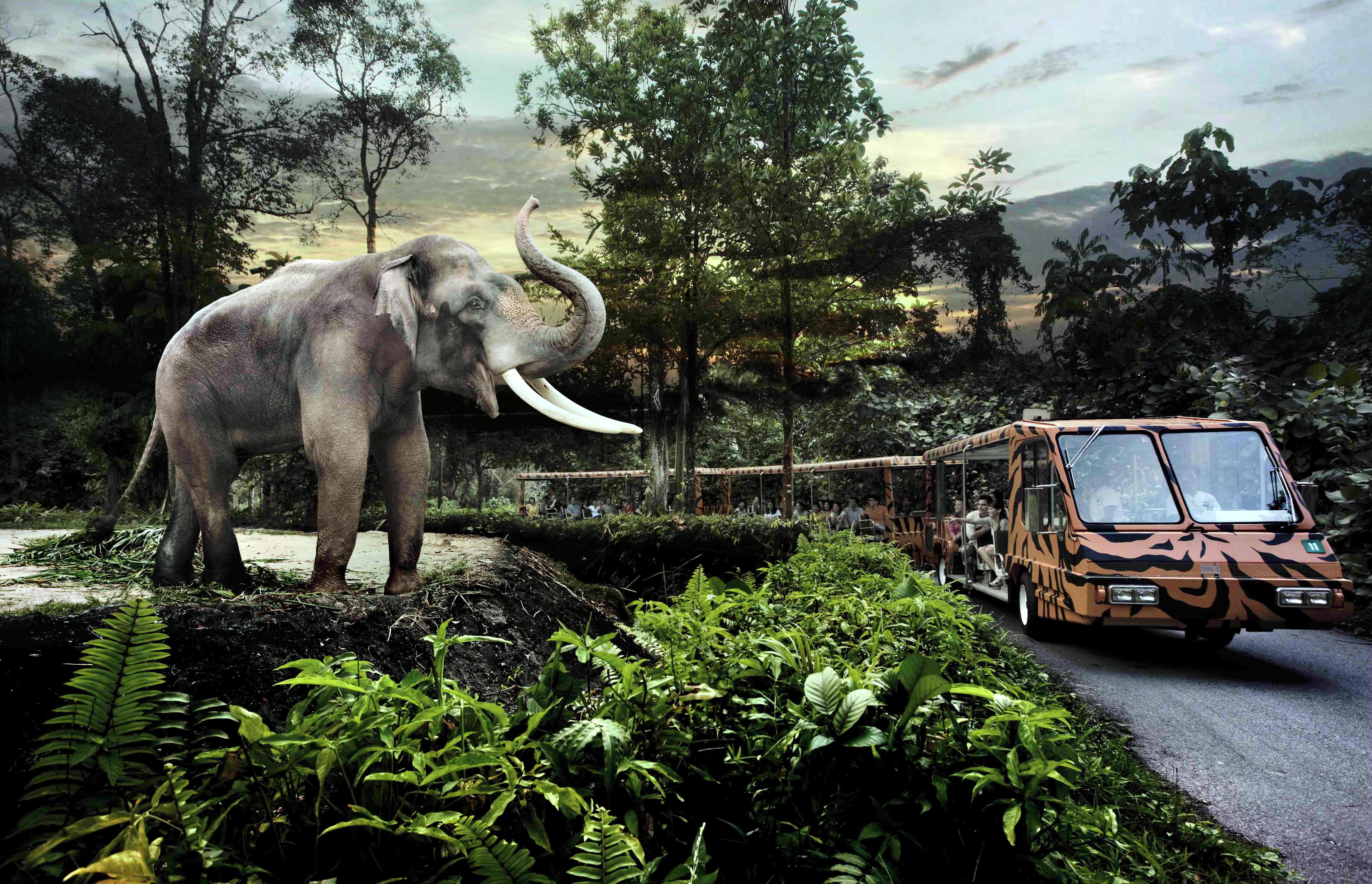 night safari and zoo package singapore