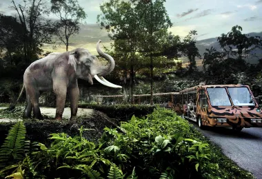 Night Safari Popular Attractions Photos