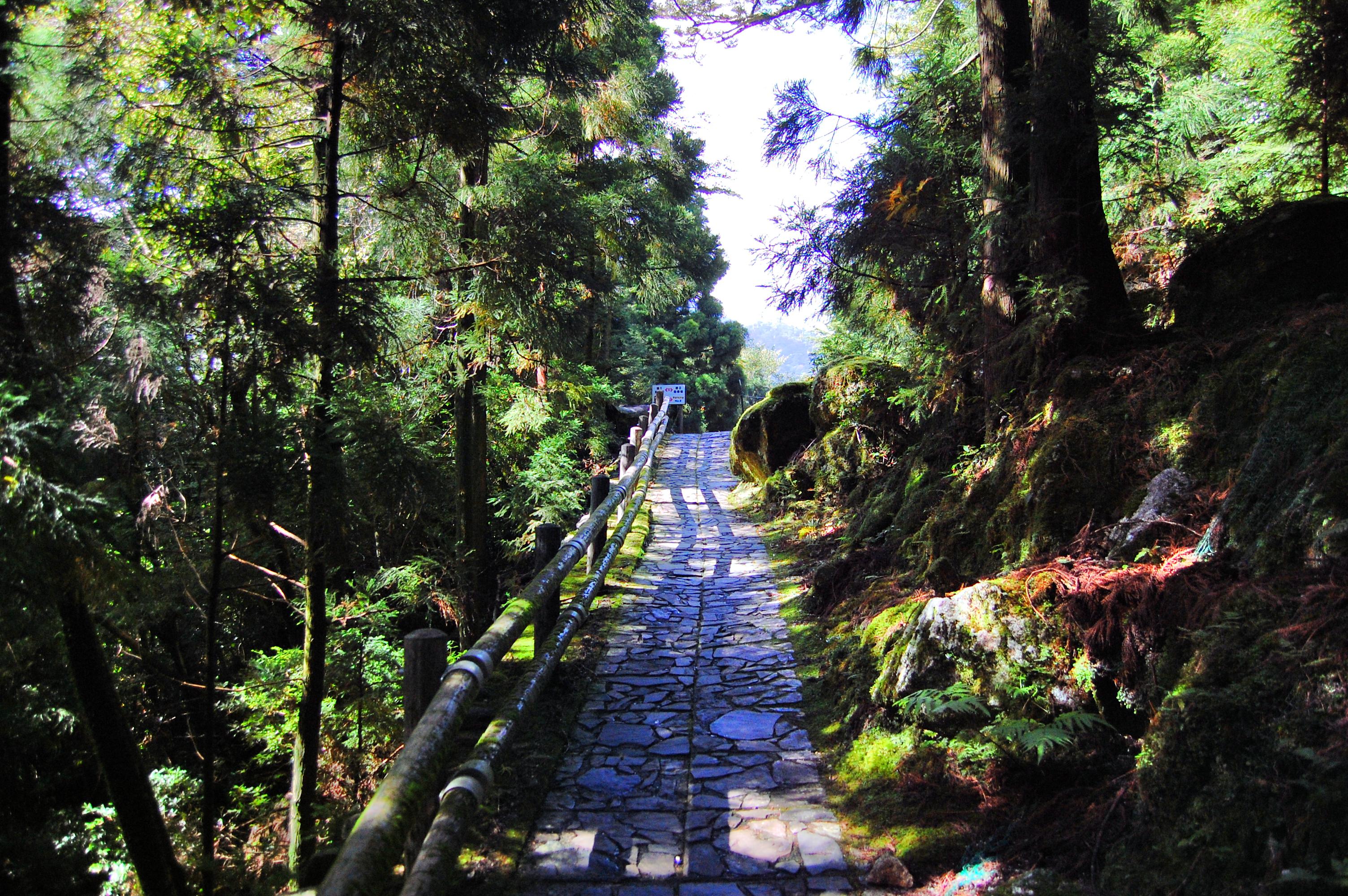 Yakusugi Land景點評價 Yakusugi Land門票 Yakusugi Land優惠 Yakusugi Land交通 地址 開放時間 Yakusugi Land附近景點 酒店及美食 Trip Com