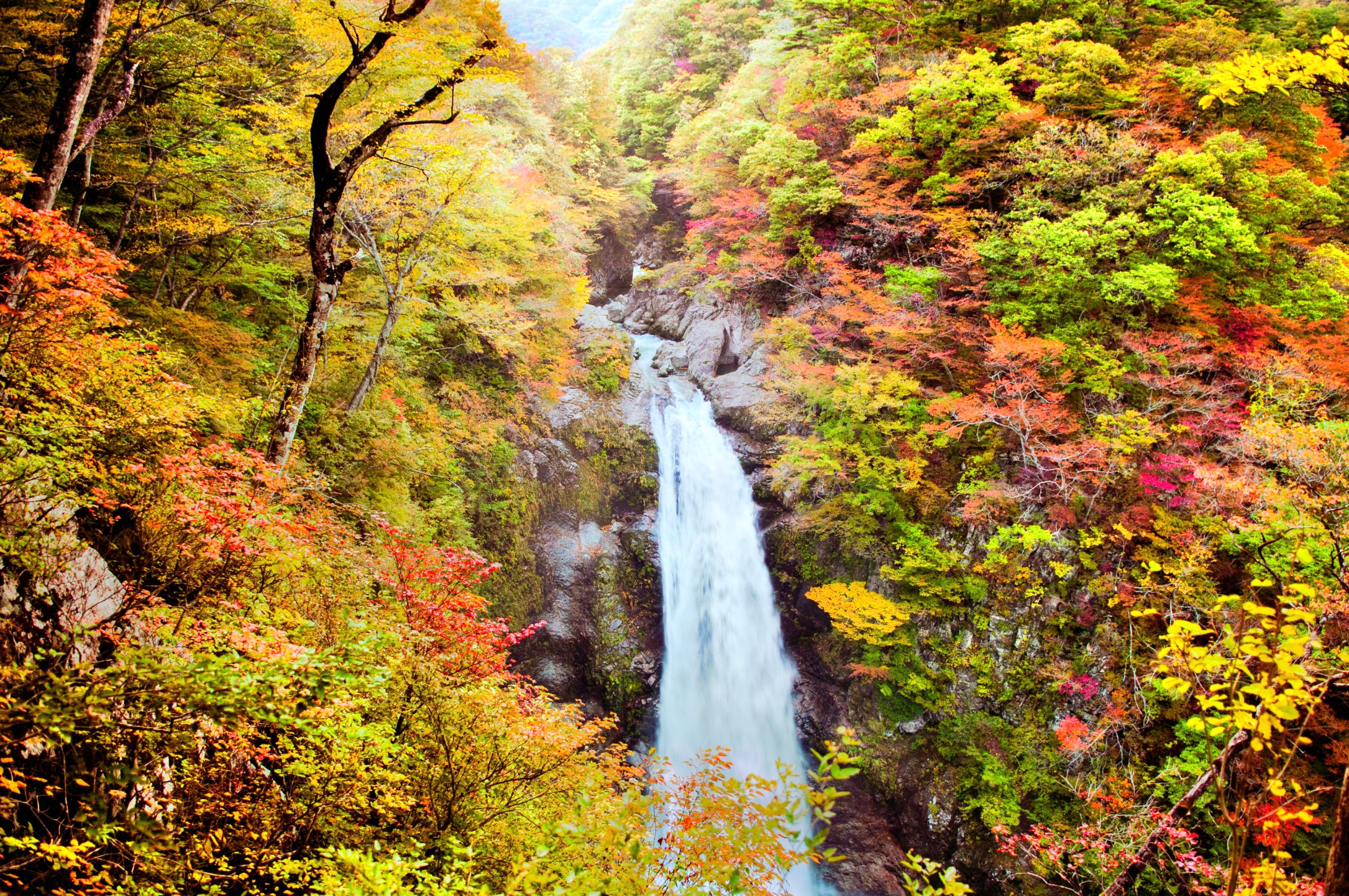 仙台风景壁纸图片