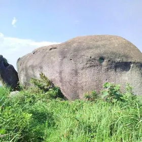 Tortoise Stone