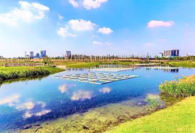 Yingwuzhou Ecology Wetland 명소 인기 사진