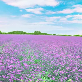 Tianhansilu Huahai Ecology Tourism Sceneic Area