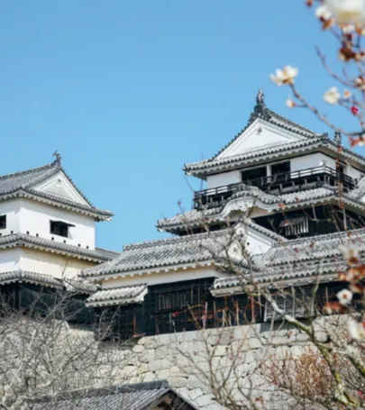 21松山旅遊攻略 松山好去處 松山觀光景點21 Trip Com 21松山旅遊攻略 松山好去處 松山觀光景點21 Trip Com