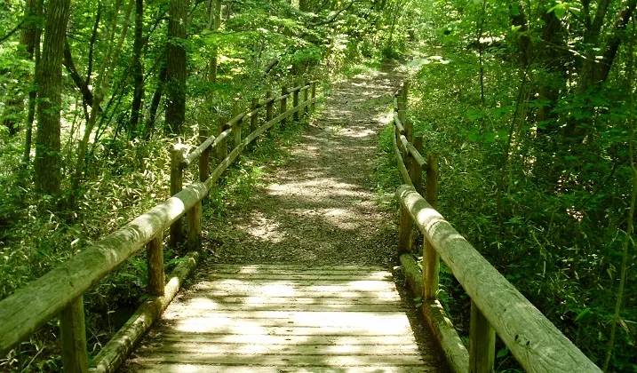 青葉山公園景點評價 青葉山公園門票 青葉山公園優惠 青葉山公園交通 地址 開放時間 青葉山公園附近景點 酒店及美食 Trip Com