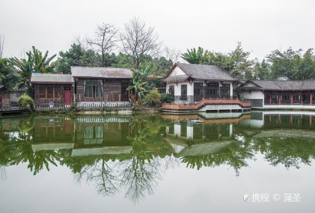 Yongkang Forest Park