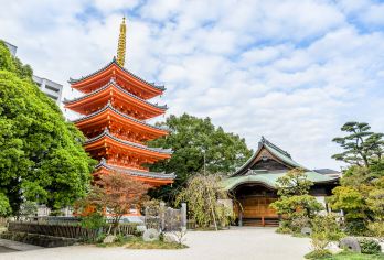 Tochoji Temple Popular Attractions Photos