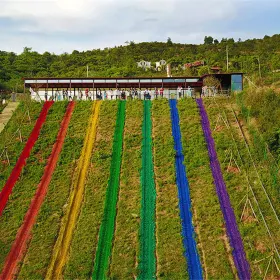 Wugong Mountain Grass Skiing Resort