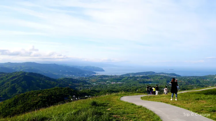 大室山旅遊攻略指南 大室山評價 大室山附近推薦 Trip Com