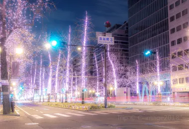 Mido-suji Popular Attractions Photos