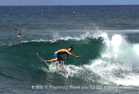 Hawaii Surf and Kayak