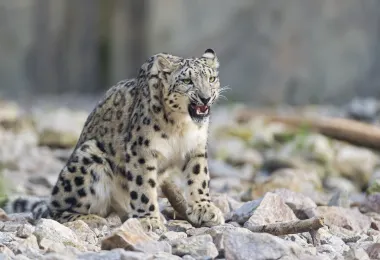 Zoological Gardens Karlsruhe รูปภาพAttractionsยอดนิยม