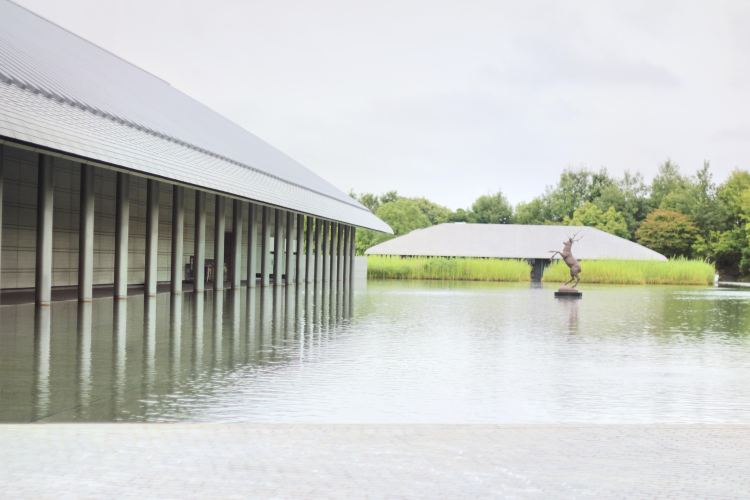 Perez Art Museum Miami Travel Guidebook Must Visit Attractions In Everglades National Park Perez Art Museum Miami Nearby Recommendation Trip Com