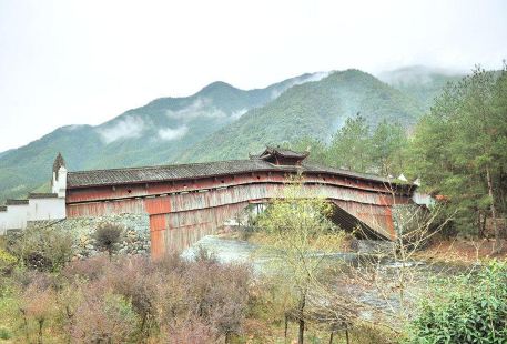 慶元古橋