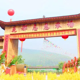 화두 지혜 농장
