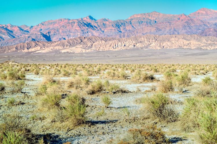Stovepipe Wells Village旅遊攻略指南 Stovepipe Wells Village評論 Stovepipe Wells Village附近推薦 Trip Com Stovepipe Wells Village旅遊攻略指南 Stovepipe Wells Village評論 Stovepipe Wells Village附近推薦 Trip Com