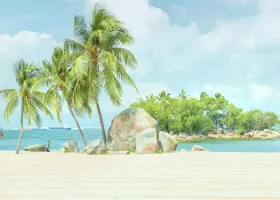 Shangri La S Rasa Sentosa Resort Spa Singapore Attraction Reviews Shangri La S Rasa Sentosa Resort Spa Singapore Tickets Shangri La S Rasa Sentosa Resort Spa Singapore Discounts Shangri La S Rasa Sentosa Resort