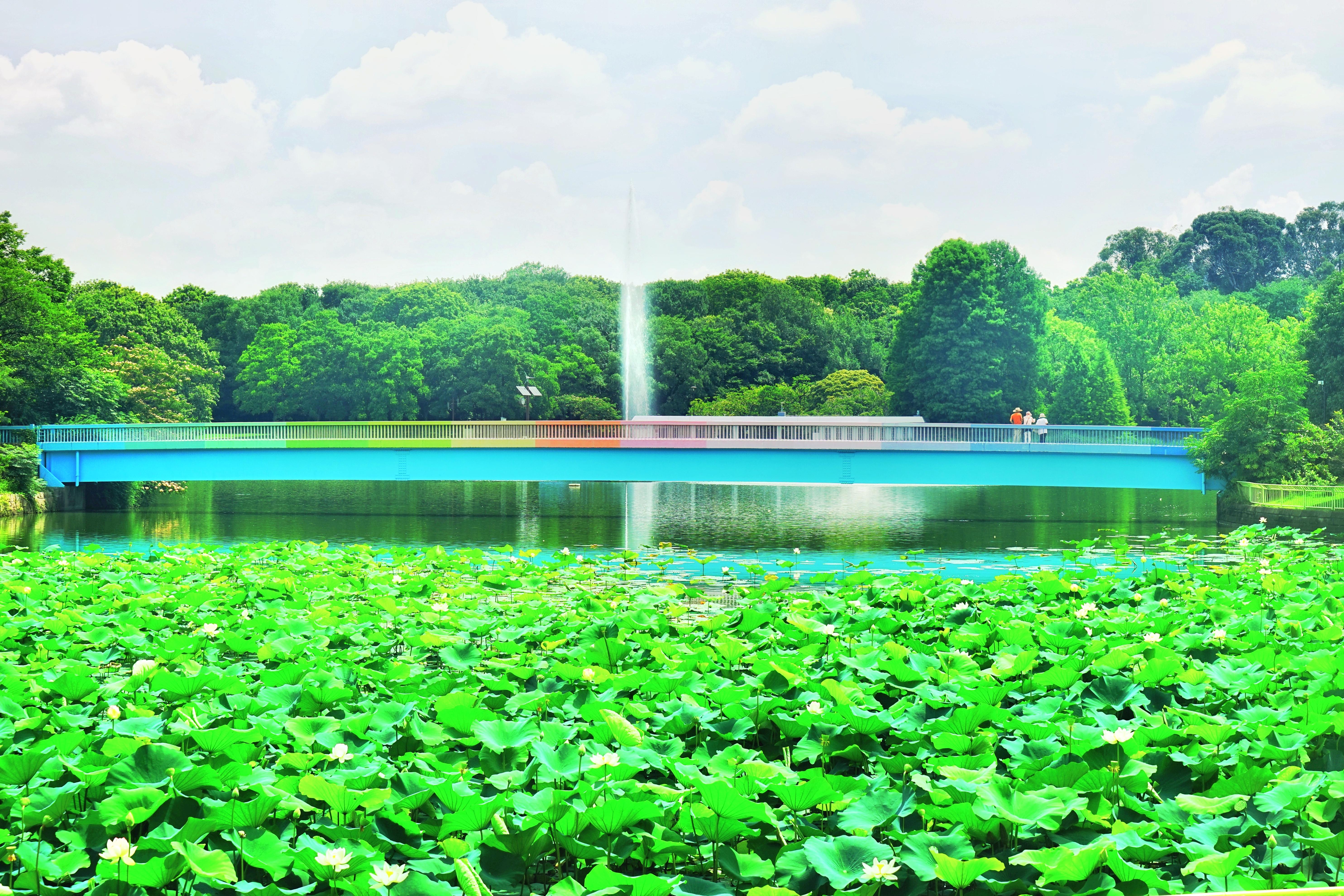 長居公園景點評論 長居公園門票 長居公園優惠 長居公園交通 地址 開放時間 長居公園附近景點 飯店與美食 Trip Com
