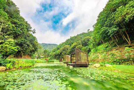 가오펑 삼림공원