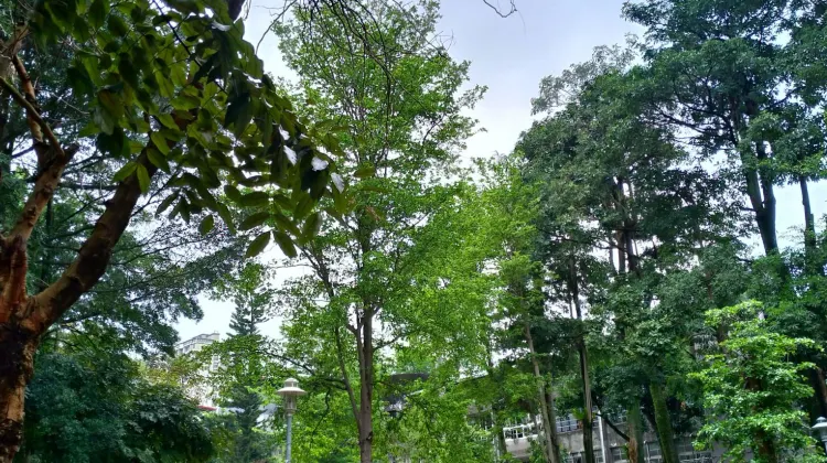 大豐公園旅遊攻略指南 大豐公園評價 大豐公園附近推薦 Trip Com