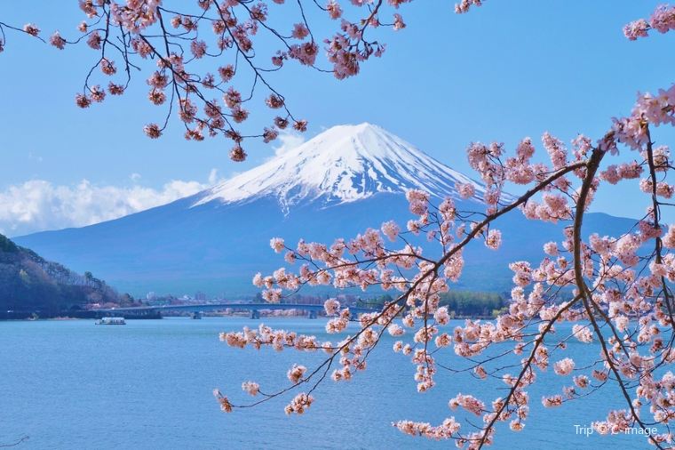 Where To Go In Japan | Trip Guide