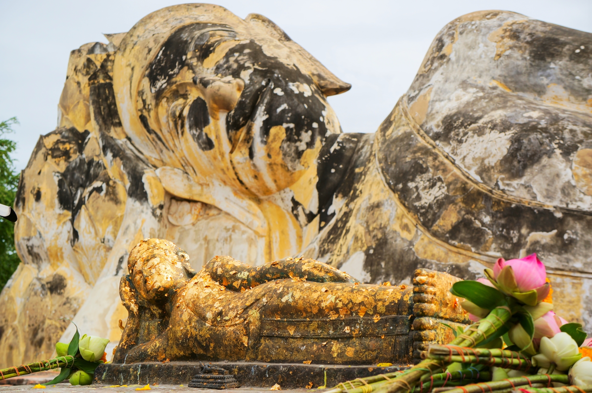ワット ロカヤスタ 寝仏の寺 のレビュー ワット ロカヤスタ 寝仏の寺 のチケット ワット ロカヤスタ 寝仏の寺 の割引 ワット ロカヤスタ 寝仏の寺 の交通機関 所在地 営業時間 ワット ロカヤスタ 寝仏の寺 周辺の観光スポット ホテル グルメ Trip Com
