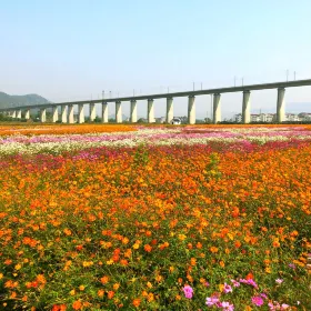 Jianchuan Flower Sea, Jinyun