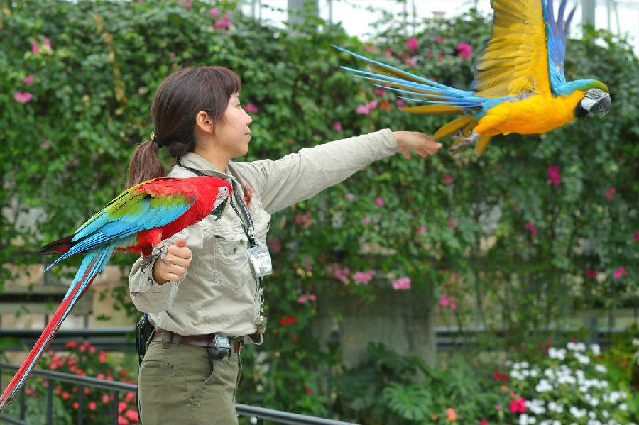Kobe Animal Kingdom attraction reviews - Kobe Animal Kingdom tickets - Kobe Animal Kingdom discounts - Kobe Animal Kingdom transportation, address, opening hours - attractions, hotels, and food near Kobe Animal Kingdom - Kobe Animal Kingdom attraction reviews - Kobe Animal Kingdom tickets - Kobe Animal Kingdom discounts - Kobe Animal Kingdom transportation, address, opening hours - attractions, hotels, and food near Kobe Animal Kingdom -