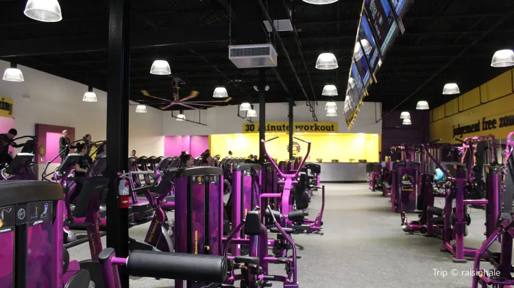 Black Green Gym Design Gym Interior Design