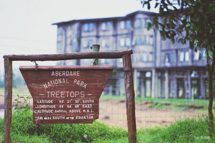 Treetops Lodge2