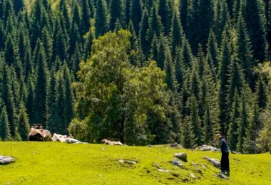 瓊庫什台 熱門景點照片
