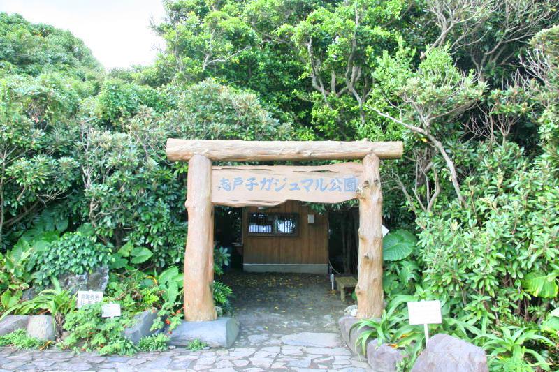 Shitoko Gajumaru Banyan Garden Travel Guidebook Must Visit Attractions In Yakushima Shitoko Gajumaru Banyan Garden Nearby Recommendation Trip Com