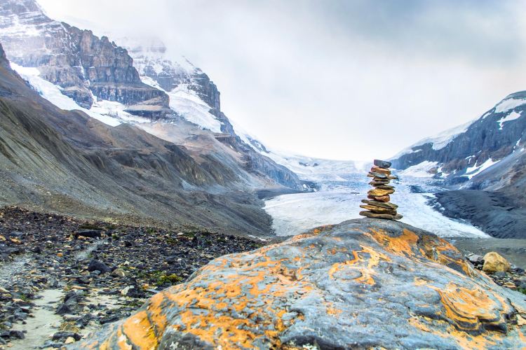 ジャスパー国立公園 Columbia Icefield 評判 案内 トリップドットコム