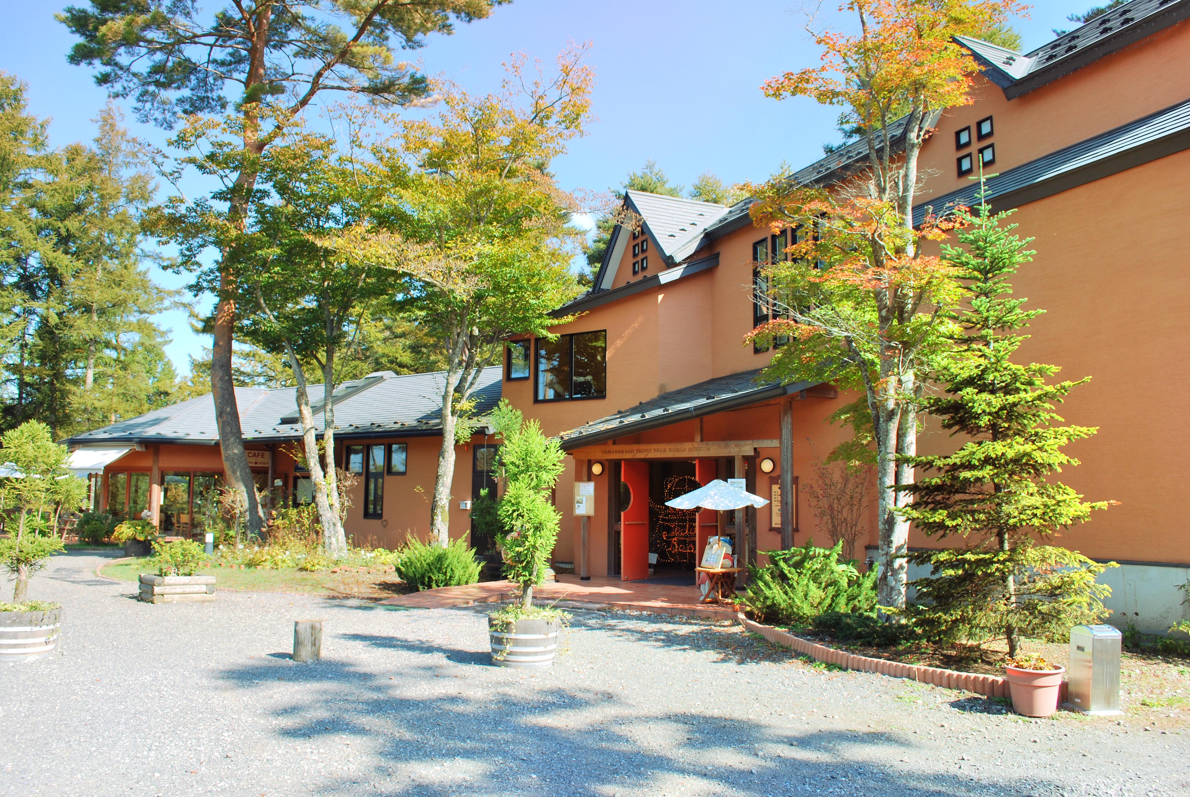 teddy house cafe
