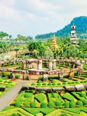 สวนนงนุชพัทยา Nongnooch Pattaya Garden Thailand