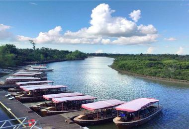 Dongzhaigang mangroves Popular Attractions Photos
