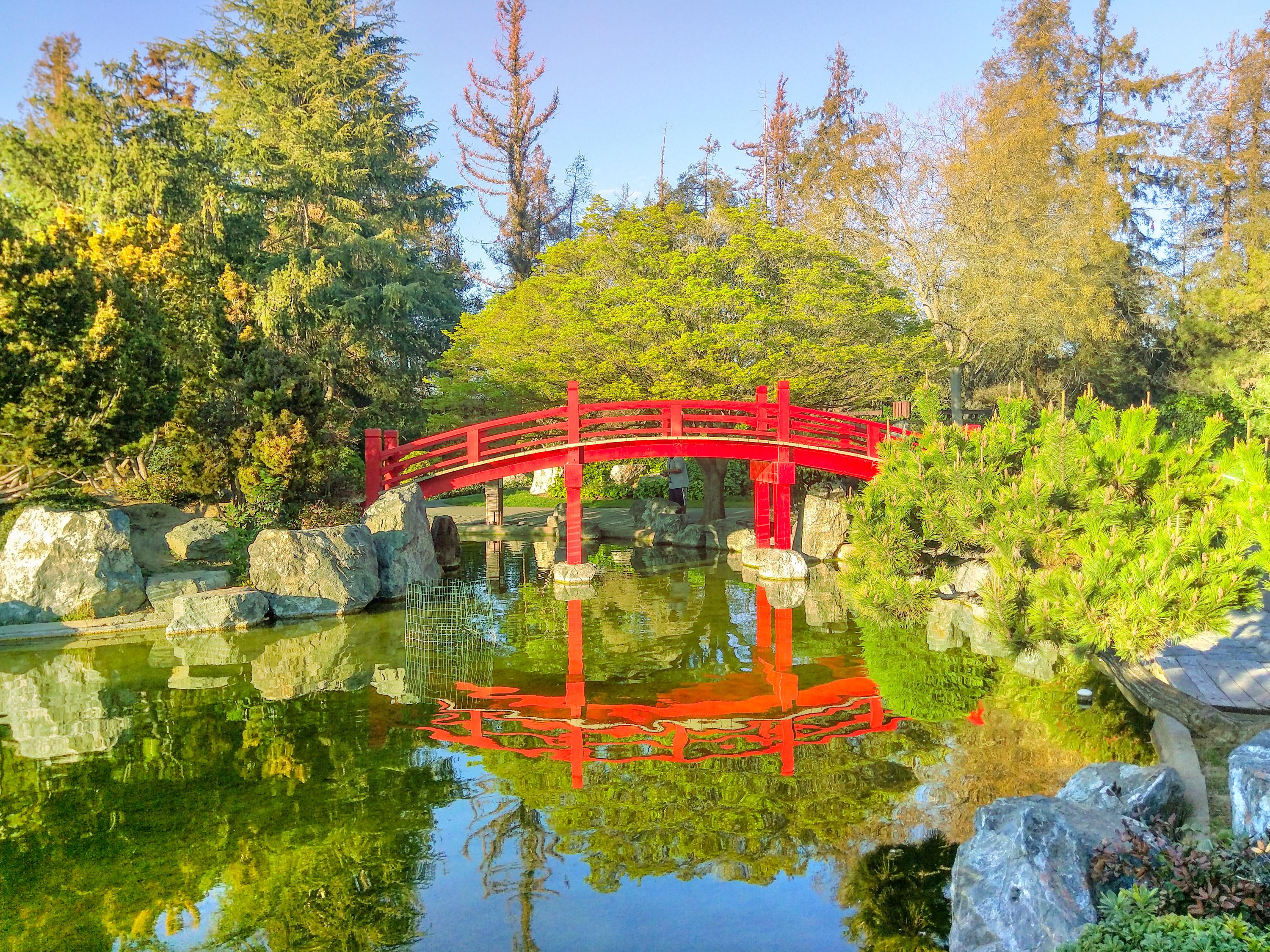 The Japanese Friendship Garden Is A Great Place For Your Next Snap