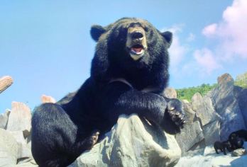 동방 곰 목장 명소 인기 사진