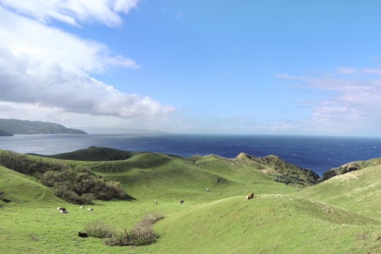 Vayang Rolling Hills Travel Guidebook Must Visit Attractions In Basco Vayang Rolling Hills Nearby Recommendation Trip Com Vayang Rolling Hills Travel Guidebook Must Visit Attractions In Basco Vayang Rolling Hills Nearby Recommendation Trip Com