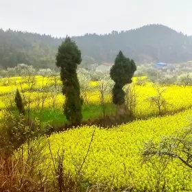 Ecological Daping Village (Chengdu Xiaodanba)