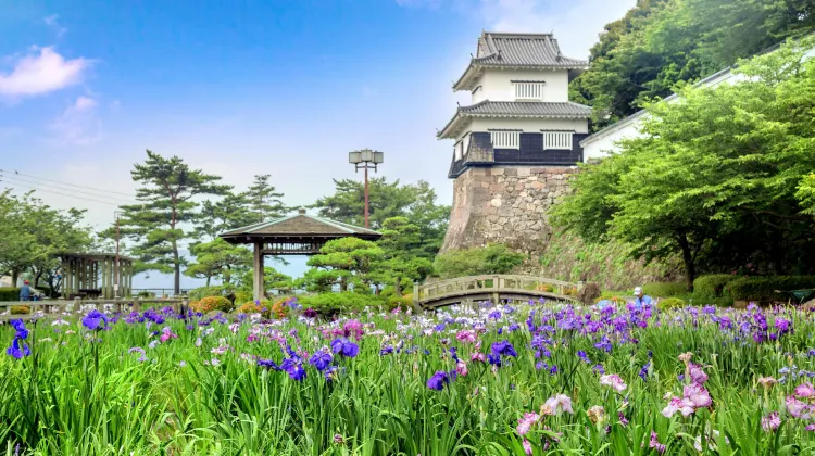 大村公園旅遊攻略指南-大村公園評價-大村公園附近推薦-Trip.com