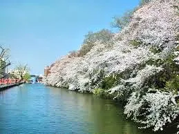 高岡古城公園旅遊攻略指南 高岡古城公園評價 高岡古城公園附近推薦 Trip Com
