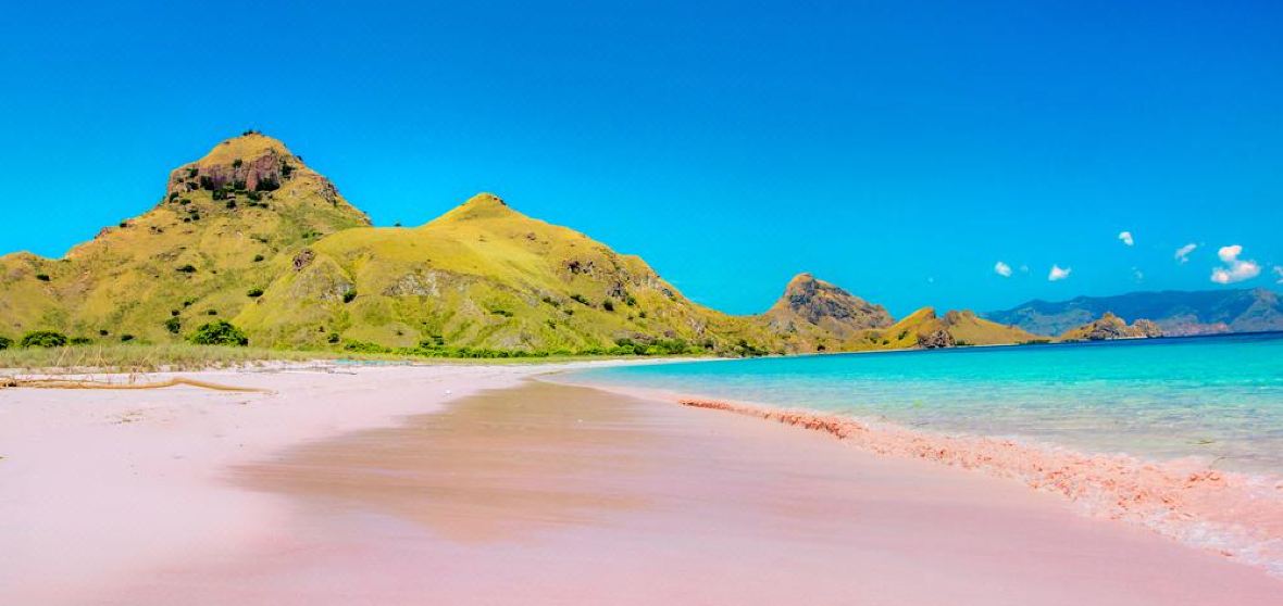 10 Best Things to do in Komodo National Park, Indonesia - Komodo ...