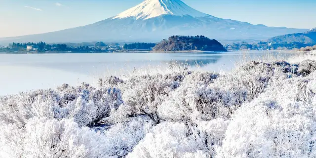 22富士山熱門推薦活動 富士山旅遊攻略 富士山人氣推介景點門票 酒店 好去處 餐飲及餐廳 Trip Com