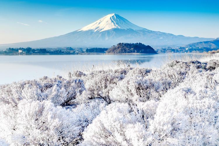 Mount Fuji Travel Guidebook Must Visit Attractions In Mount Fuji Mount Fuji Nearby Recommendation Trip Com