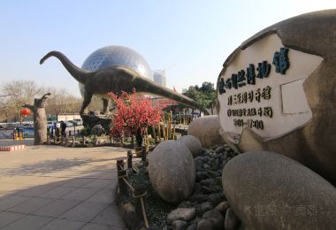 陝西自然博物館 熱門景點照片