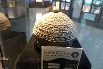 Ningbo Dizhi Baozang Museum 명소 인기 사진